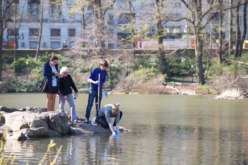 Professor Christine Priano (second from left) with BMCC students, in an earlier phase of research now being funded by NSF