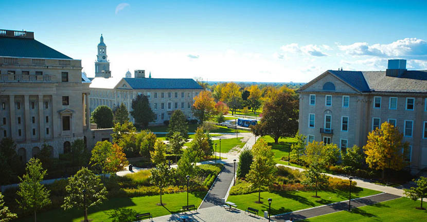 State University at Buffalo campus