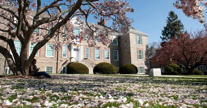 Iona College buildings and trees