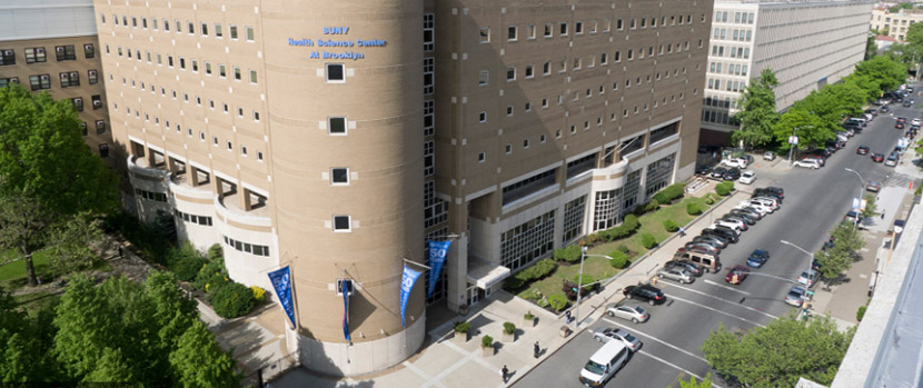 Downstate Medical Center