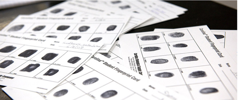 sheets of fingerprints