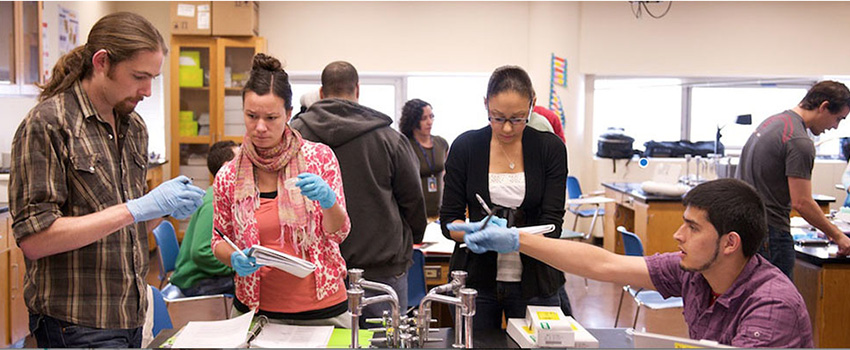 students working in science lab