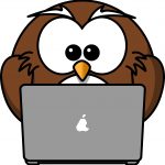owl with computer